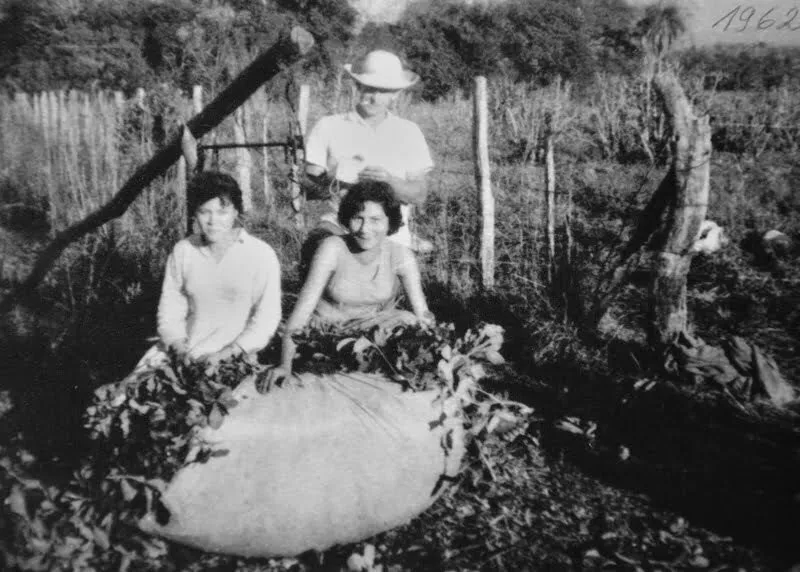 Recuerdo histórico de La Bombilla