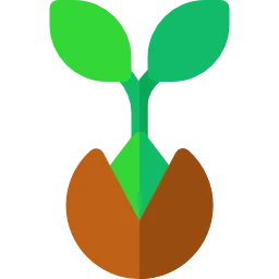 Plántula de yerba mate